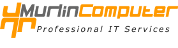 murlin.com Logo